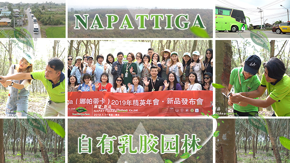 Napattiga泰国总部2019年会众星云集