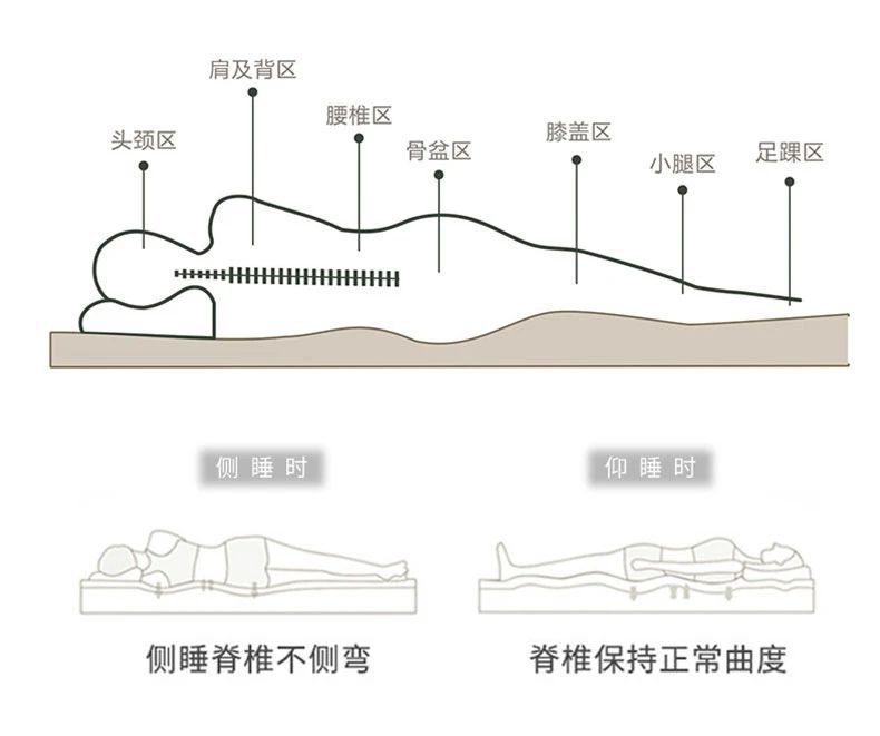 乳胶枕一高一低,睡哪边比较好呢