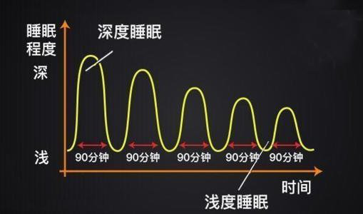 每天究竟要睡多久？睡8小时是必须的吗？高质量的睡眠才是关键