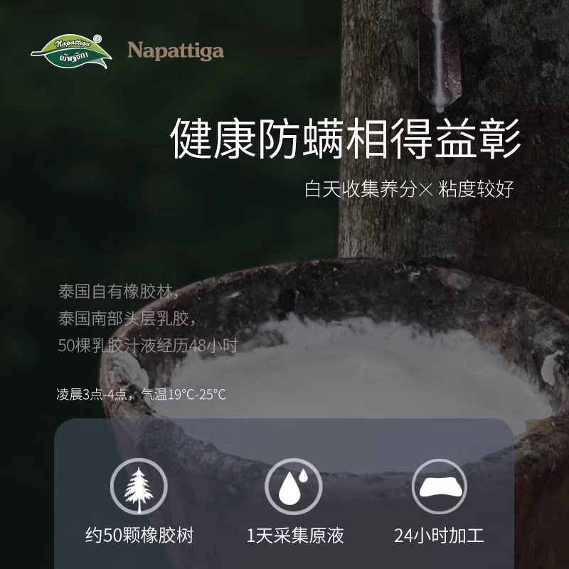 负离子颗粒枕/IPT3
